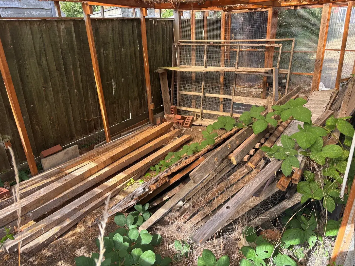 Timber outbuilding and overgrown vegetation cleared during a property clearance